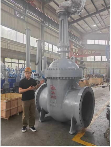 行走閥門江湖數十載！挺宇流體智能化新工廠預計2026年10月投入使用，開啟文化傳播新篇章